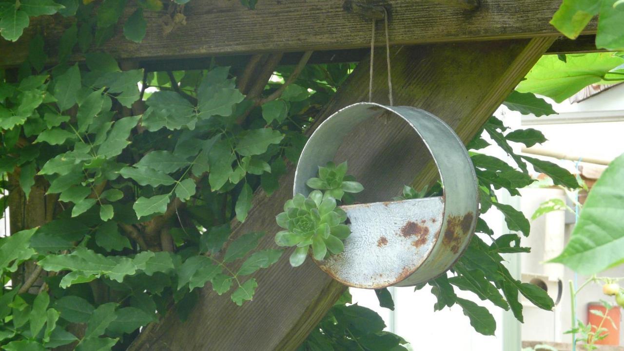 Hébergement de vacances Gaedrehome *